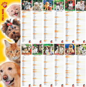 90030005 Kalendar 2025 - Kućni ljubimci