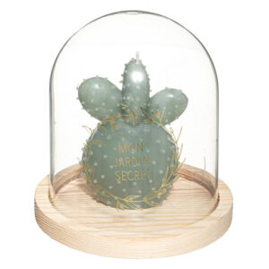 8987 SVIJEĆA KAKTUS U STAKLENOM ZVONU 14×15,5 cm