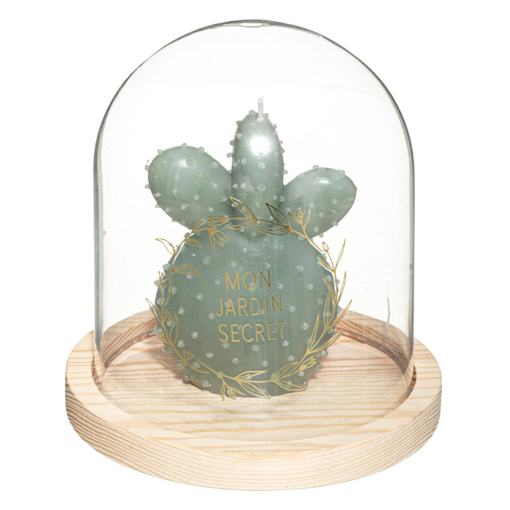 8987 SVIJEĆA KAKTUS U STAKLENOM ZVONU 14×15,5 cm