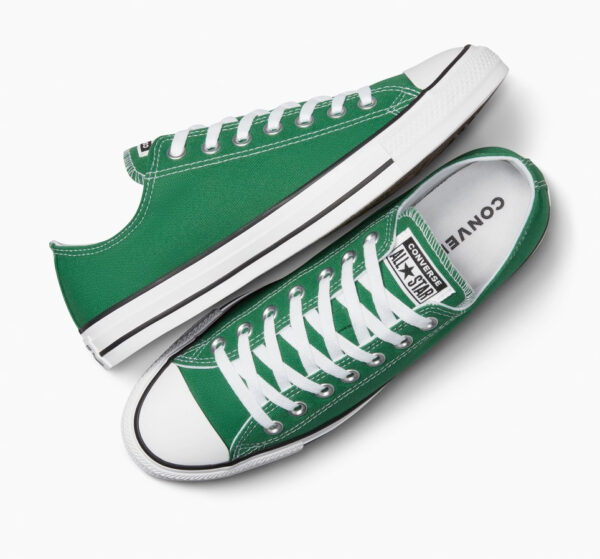 Converse Chuck Taylor All Star Canvas 43