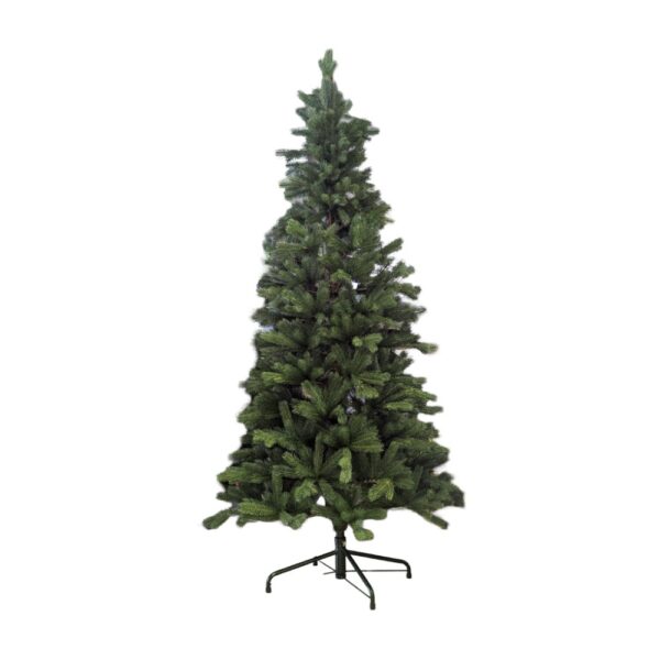 BOR05 Bor 210cm KEM SLIM pe d99cm 1258 grančica